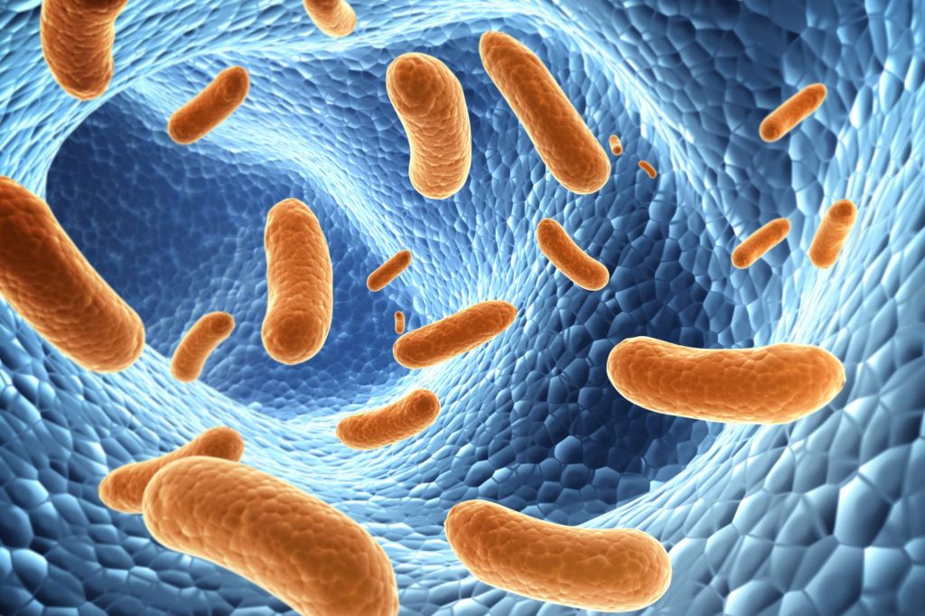 From Bacteria to Viruses: The Different Pathogens Lurking in Our&nbsp;Water